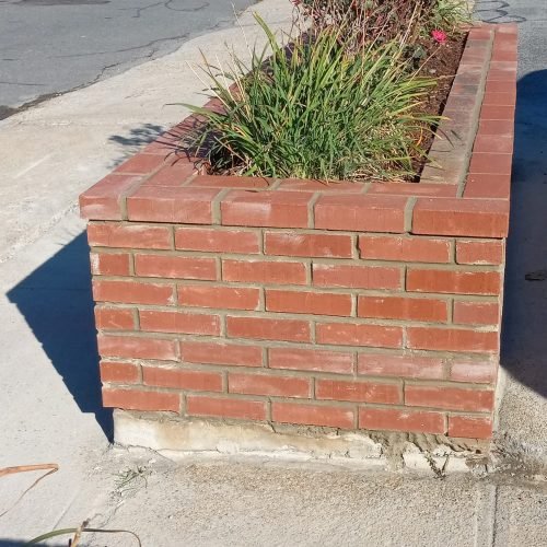 471659939_574365025409686_7573500801642972236_n