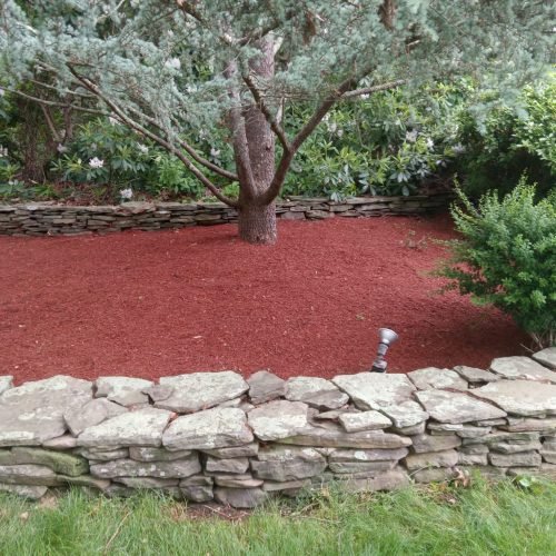 480814724_598587349670574_4150943098794962114_n