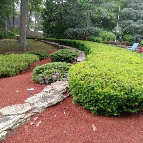 481452022_598587083003934_7657460702072813541_n