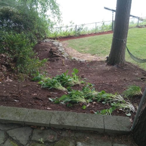 481674290_598587326337243_6512526006415090844_n