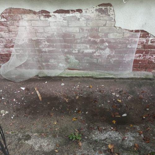 481912526_606017025594273_4301594324498097231_n