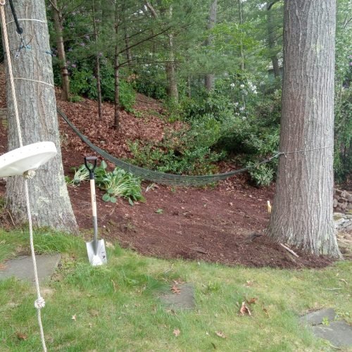 481976083_598587339670575_5499493951586971463_n