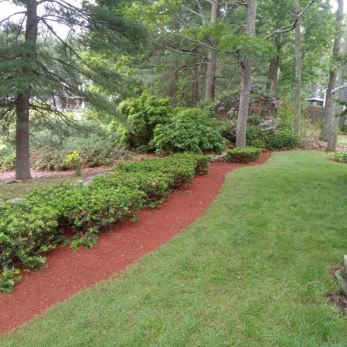 482003765_598587099670599_3375661057085253683_n