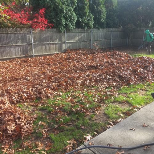 483754217_607922132070429_3157296453194960405_n