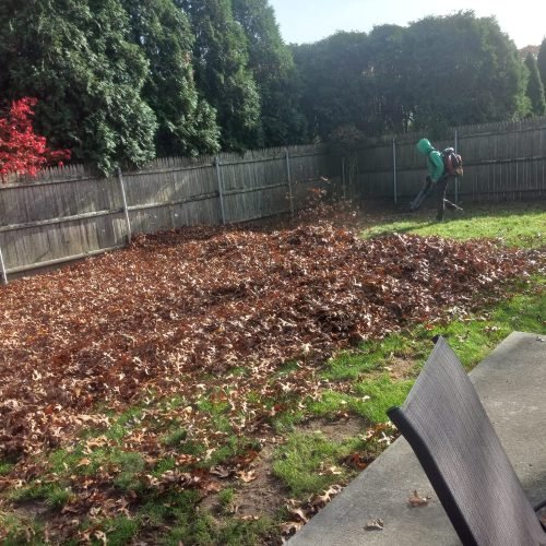 483857527_607922165403759_8394115304262004123_n