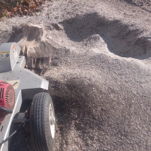 484087950_607922135403762_800612977862286874_n