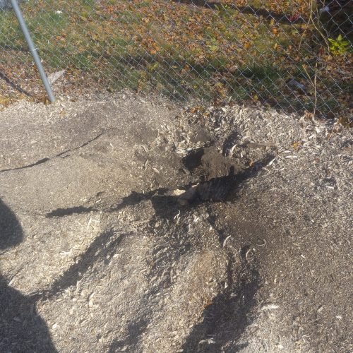 484128567_607922142070428_3722317959680082003_n