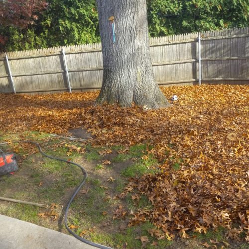 484238747_607922148737094_2857841110131525176_n